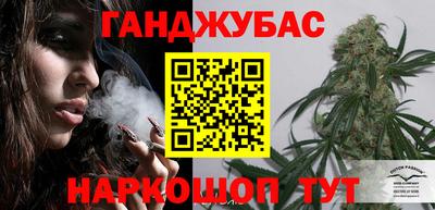МДПВ Новозыбков