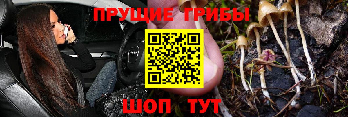 Псилоцибиновые грибы GOLDEN TEACHER Тобольск