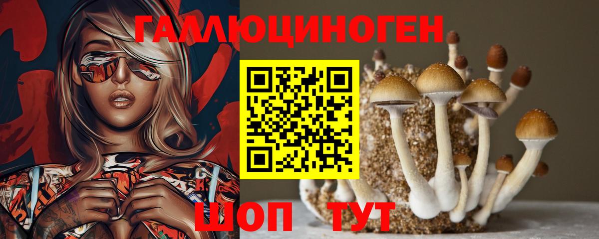 Галлюциногенные грибы Magic Shrooms  Вход с VPN  Тобольск 
